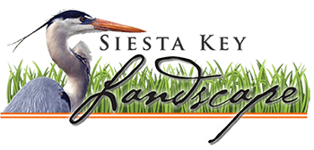 Siesta Key landscape Logo - Siesta Key - Sarasota Florida